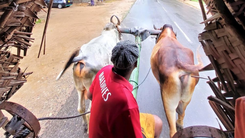 Sarah-Ri-Naturschutz-und-Klimaschutz