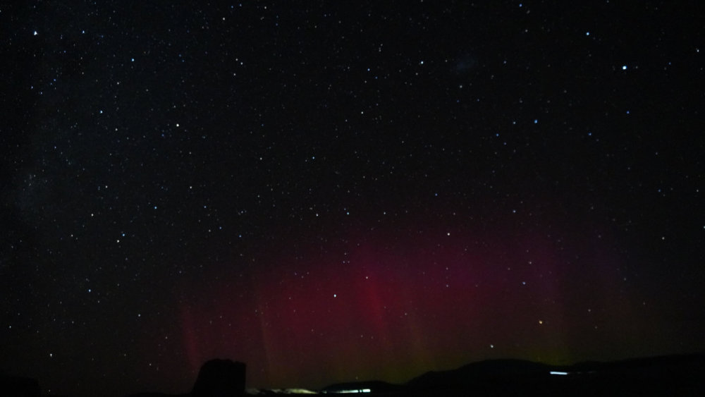 Neuseeland-farmstay-benedikt