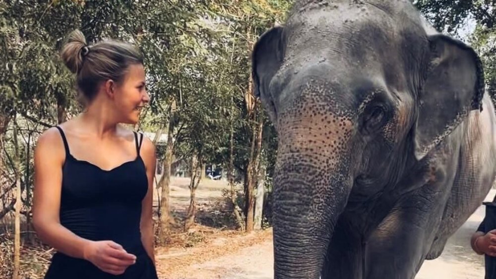 Elefanten-Thailand-Save-the-Planet-Isabelle-Ko