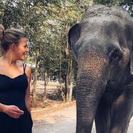 Elefanten-Thailand-Save-the-Planet-Isabelle-Ko