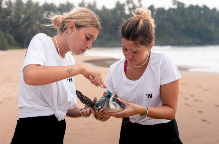 meeresschildkröten-sri-lanka-save-the-planet