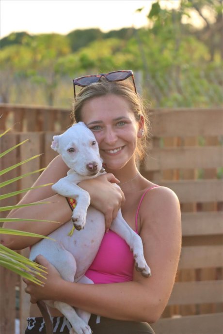 mexiko-straßenhunde-wildlife