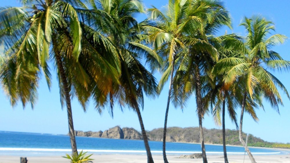 costa-rica-landschaft-natur