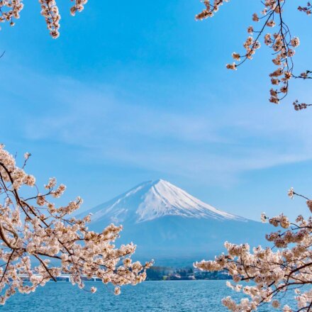 Work & Travel Japan Discovery Paket