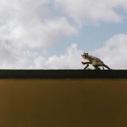 Diebstahl im Ausland