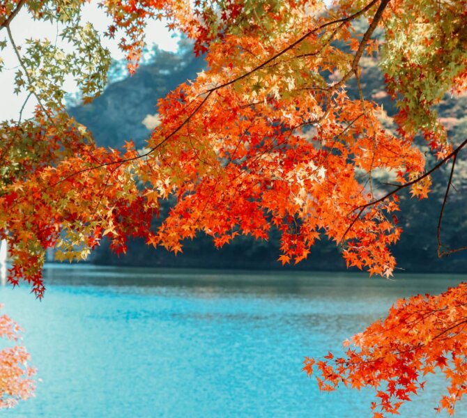 Beste Reisezeit für Japan Herbst