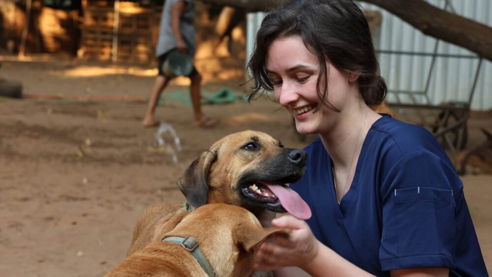 Freiwillige streichelt zwei Hunde auf einem sandigen Gelände vor einem Tierheim in Mexiko.