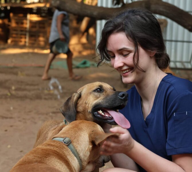 Freiwillige streichelt zwei Hunde auf einem sandigen Gelände vor einem Tierheim in Mexiko.