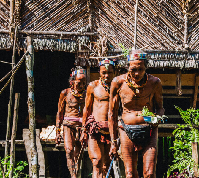 Drei Männer in traditioneller Kleidung gehen über einen Holzsteg vor einem Haus aus Naturmaterialien im tropischen Regenwald.