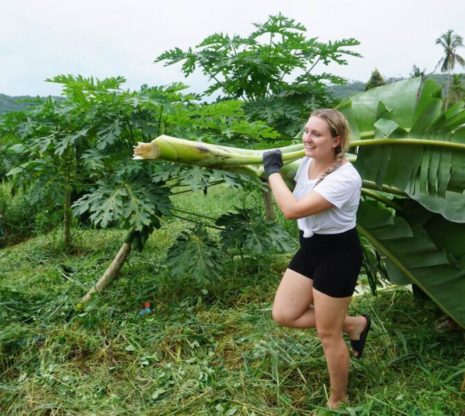 Freiwillige trägt Bananenstamm bei Landwirtschaftsprojekt mit Wayers auf tropischer Farm