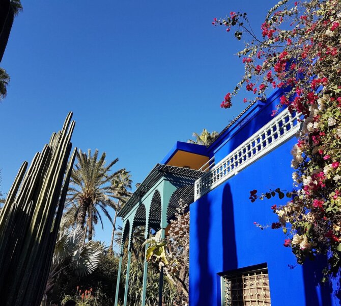 Der leuchtend blaue Jardin Majorelle in Marrakesch, umgeben von Palmen, Kakteen und blühenden Bougainvillea vor strahlend blauem Himmel.