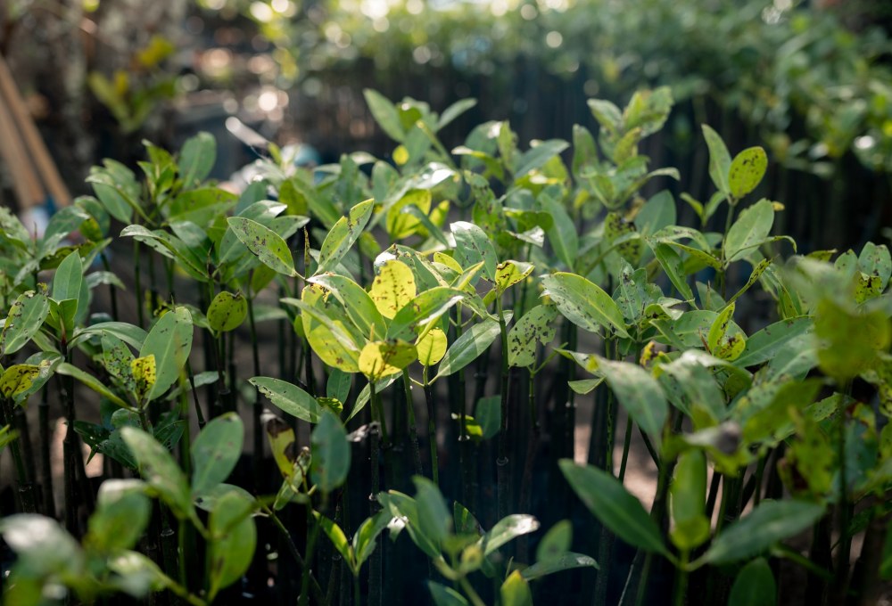 Woche 1/folgende - Dein Projekt