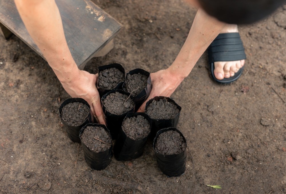 Woche 1/folgende - Dein Projekt