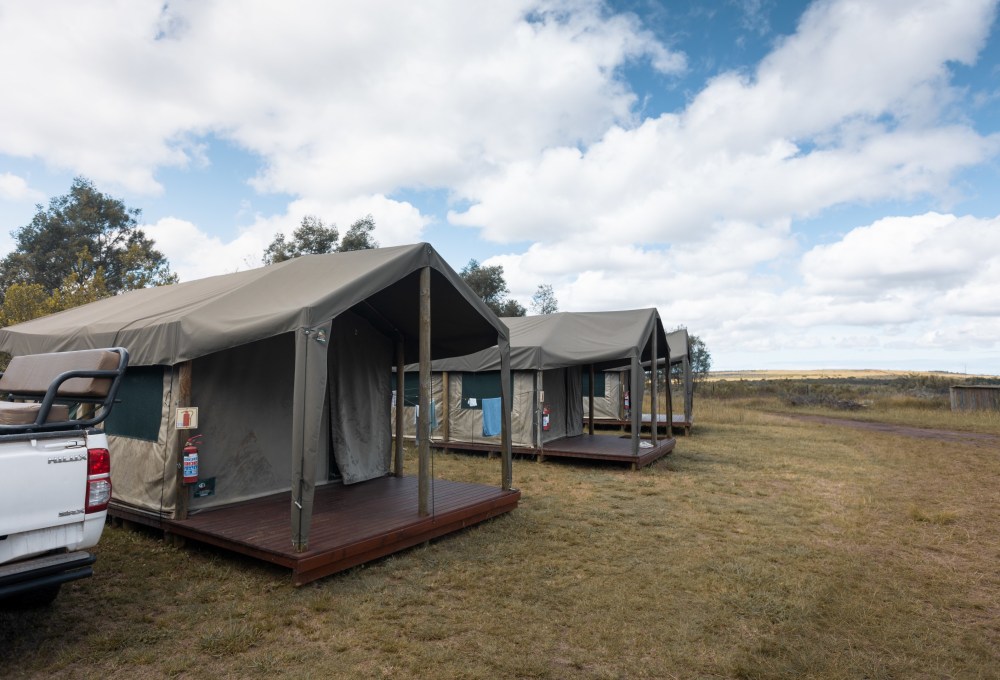 wayers Home / Camp direkt im Gondwana Reservat