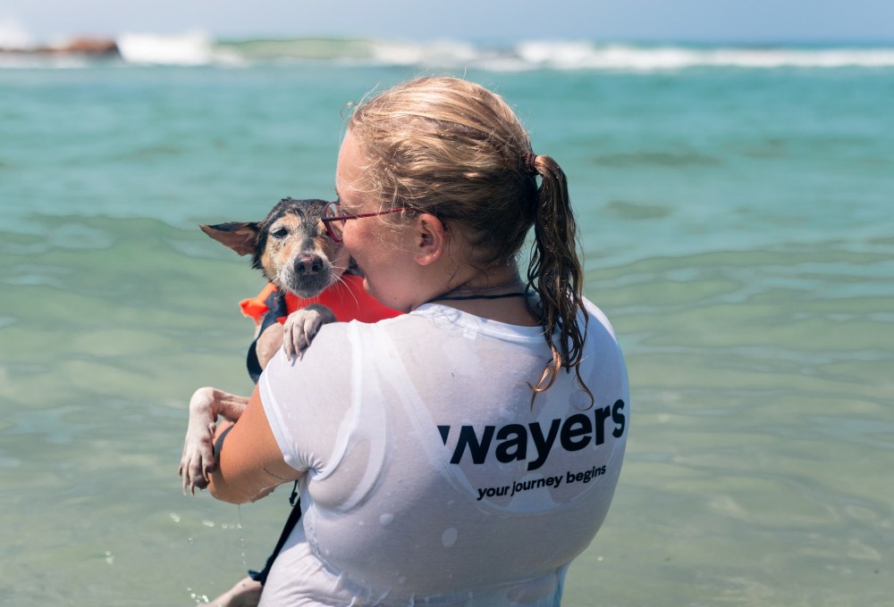 Ab Montag - Dein Projekt