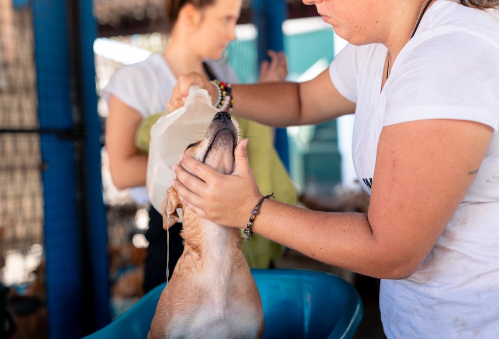 Ab Montag - Dein Projekt