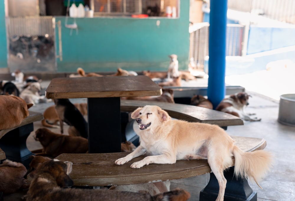 Ab Montag - Dein Projekt