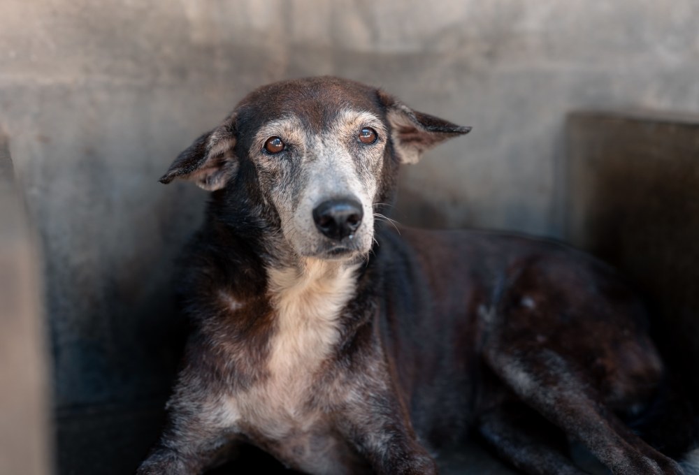 Ab Montag - Dein Projekt