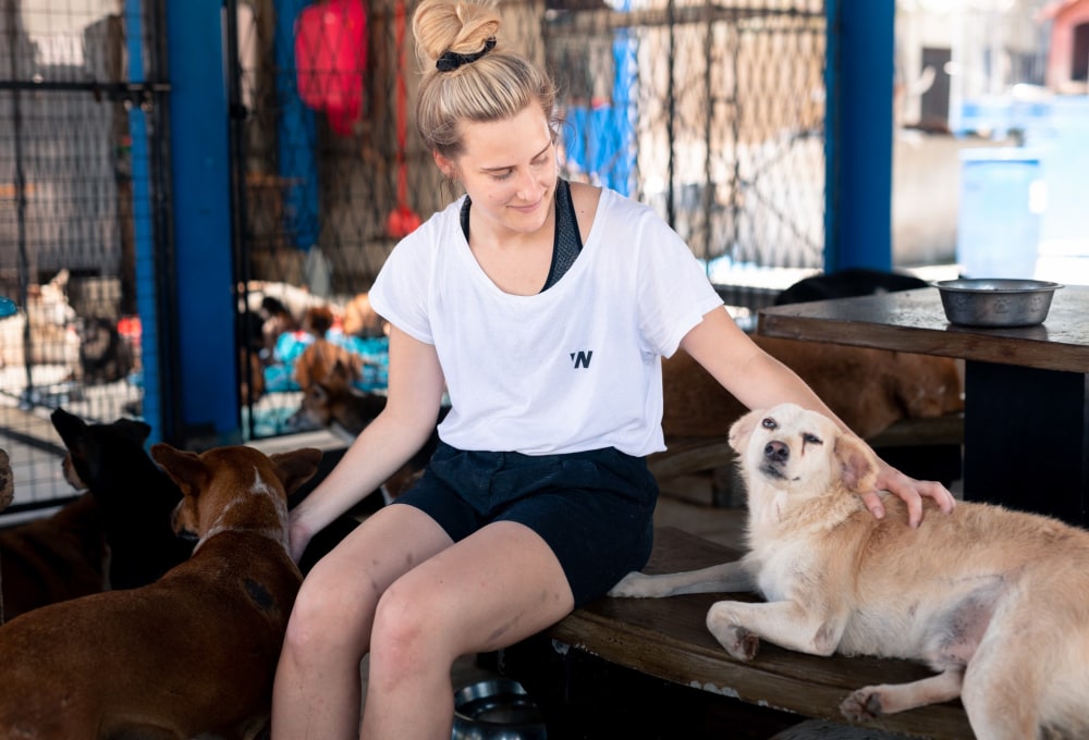 Ab Montag - Dein Projekt