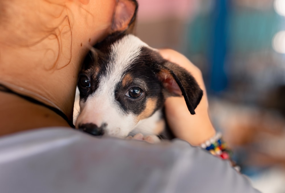 Ab Montag - Dein Projekt