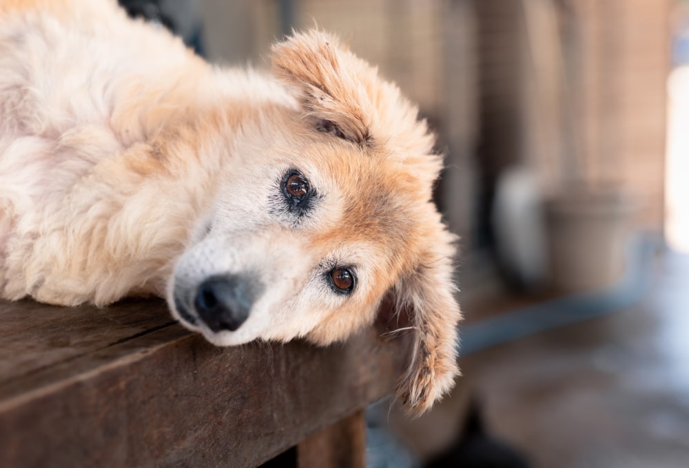 Ab Montag - Dein Projekt