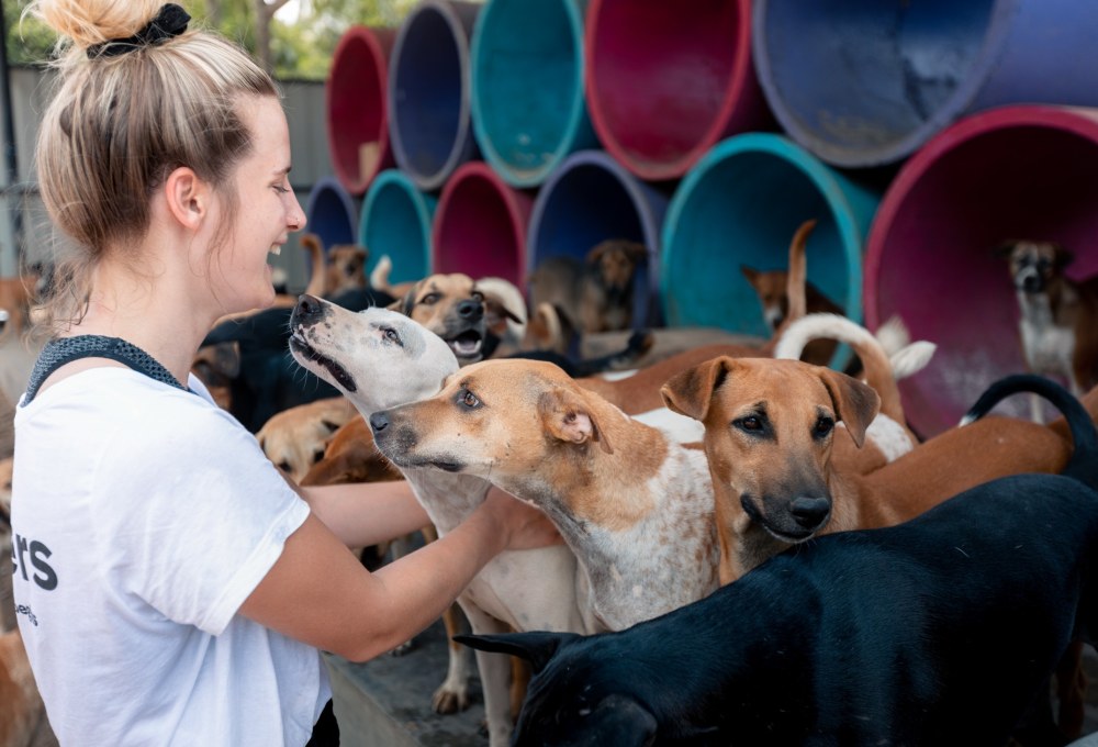 Ab Montag - Dein Projekt