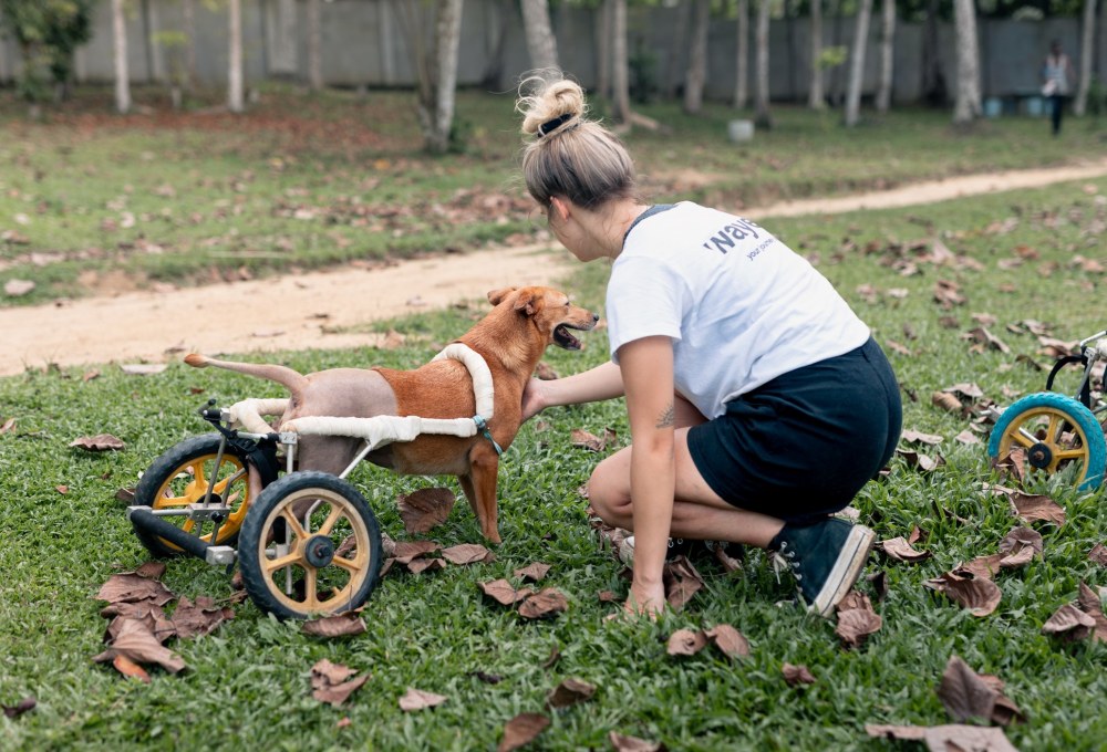 Ab Montag - Dein Projekt