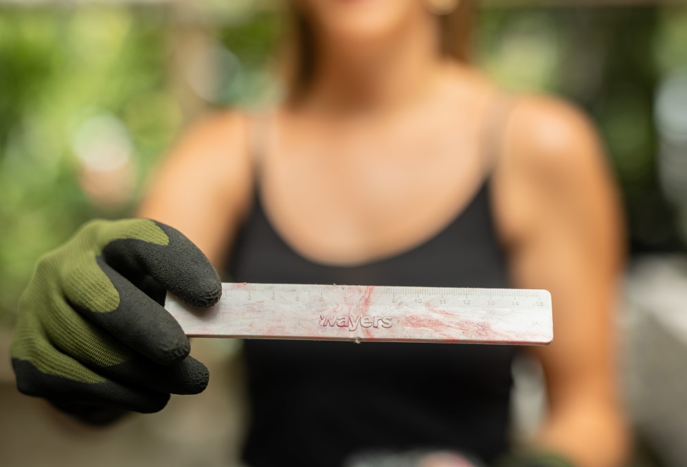 Woche 2/folgend - Dein Projekt   