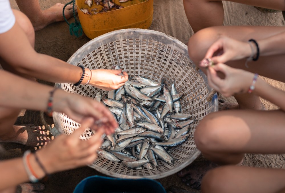Woche 1/folgend - Dein Projekt