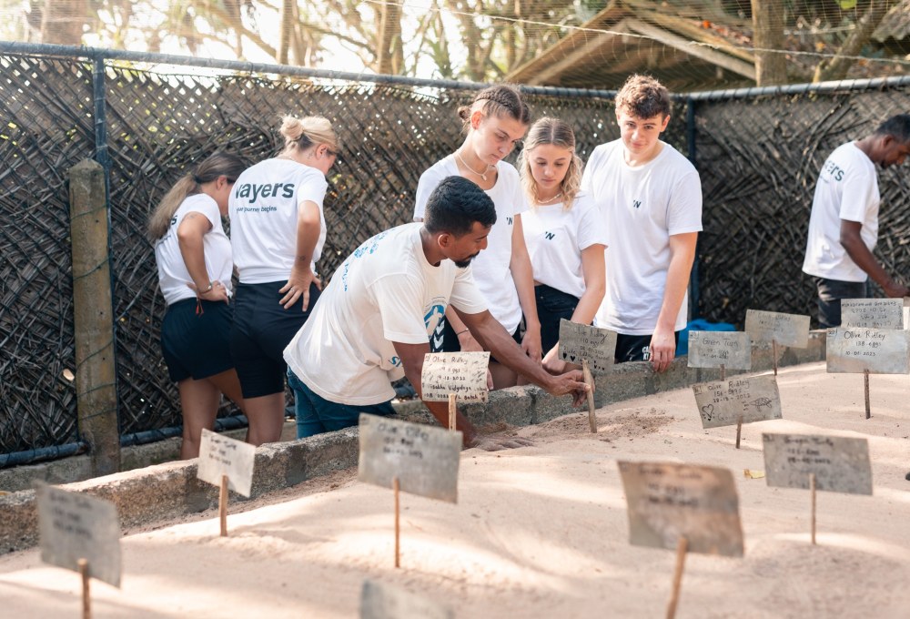 Woche 1: Dein Volunteering-Projekt