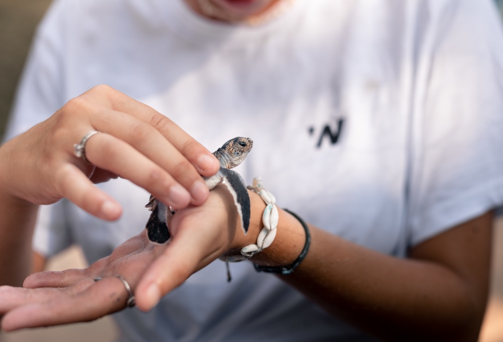 Woche 1/folgend - Dein Projekt
