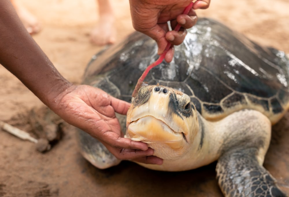 Woche 1/folgend - Dein Projekt