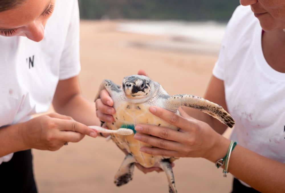 Woche 1/folgend - Dein Projekt