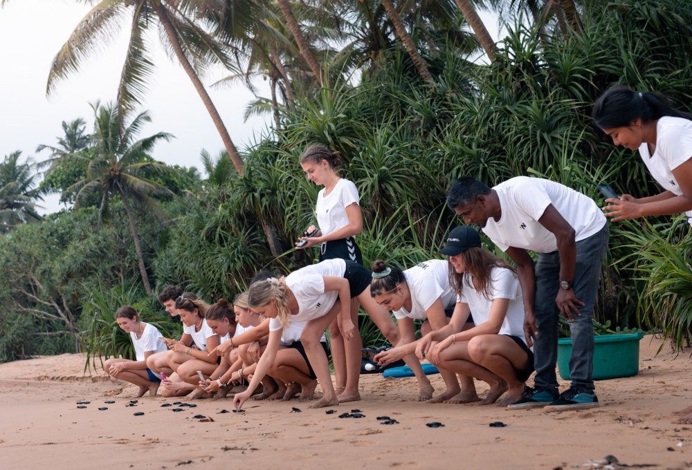 Woche 1/folgend - Dein Projekt