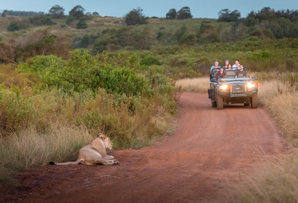 Way Changer Reise Südafrika 12 Tage