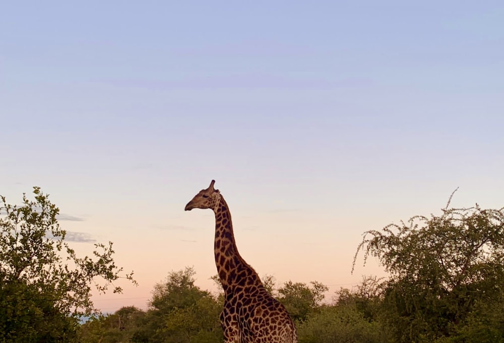 Beispiel für eine typische Woche in deinem Projekt