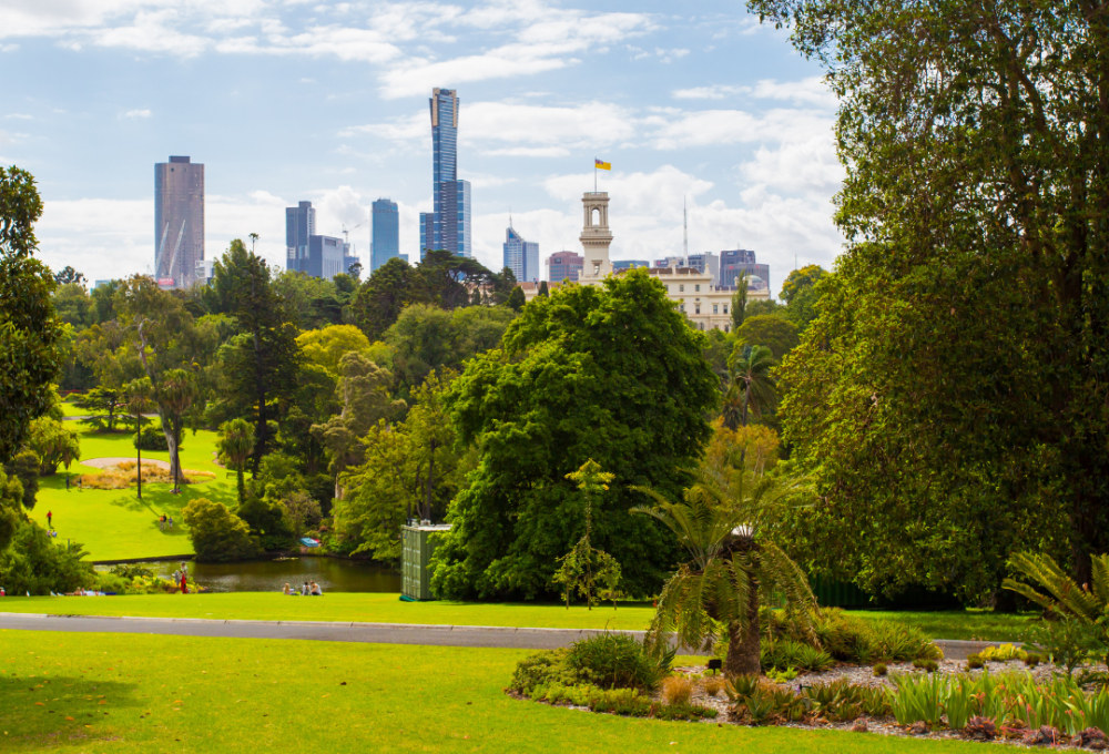Tag 5: Picnic im Botanischen Garten