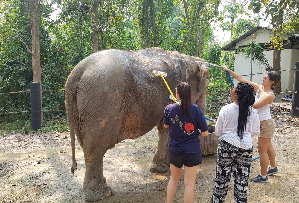 Woche 1/folgend - Dein Projekt