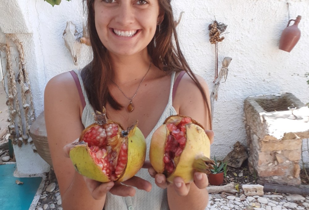 Dein Projekt auf Lipsi Island