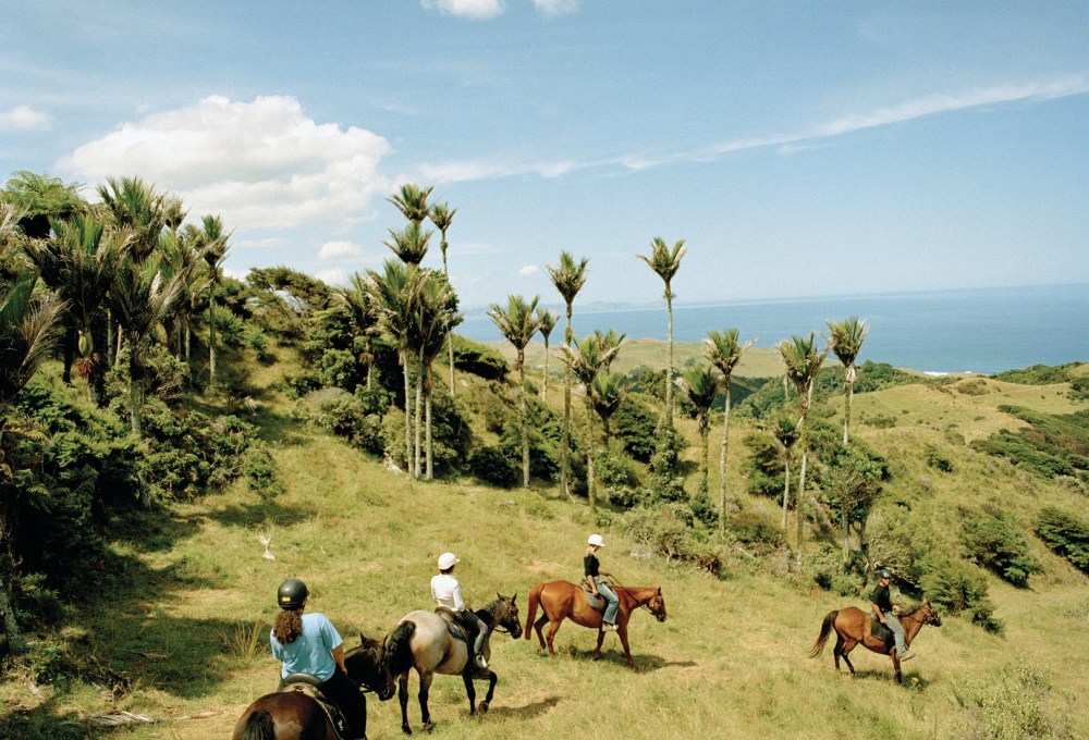 Farmstay in Neuseeland