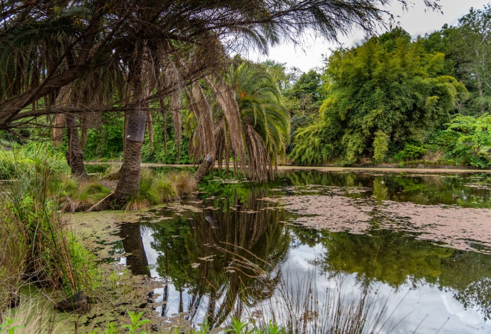Tag 5: Picnic im Botanischen Garten