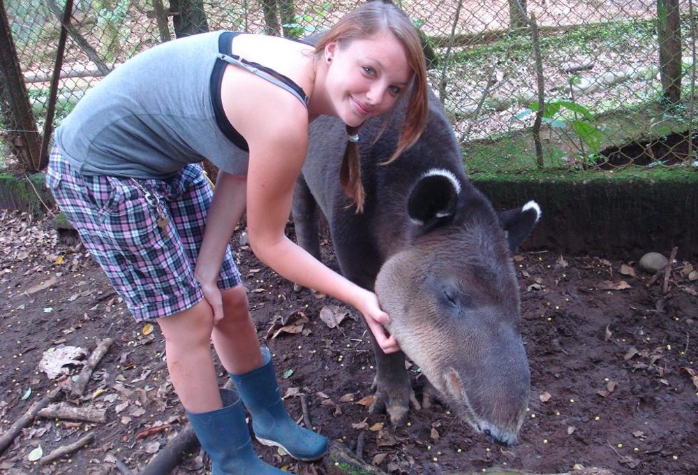 Dein Wildlife Projekt in Costa Rica