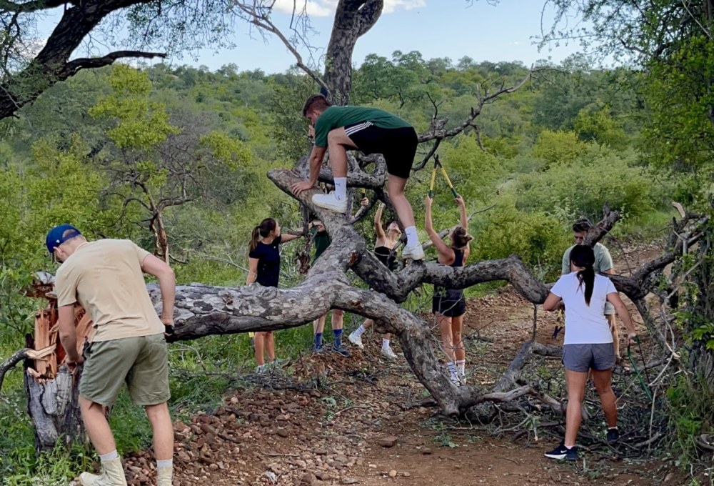 Beispiel für eine typische Woche in deinem Projekt