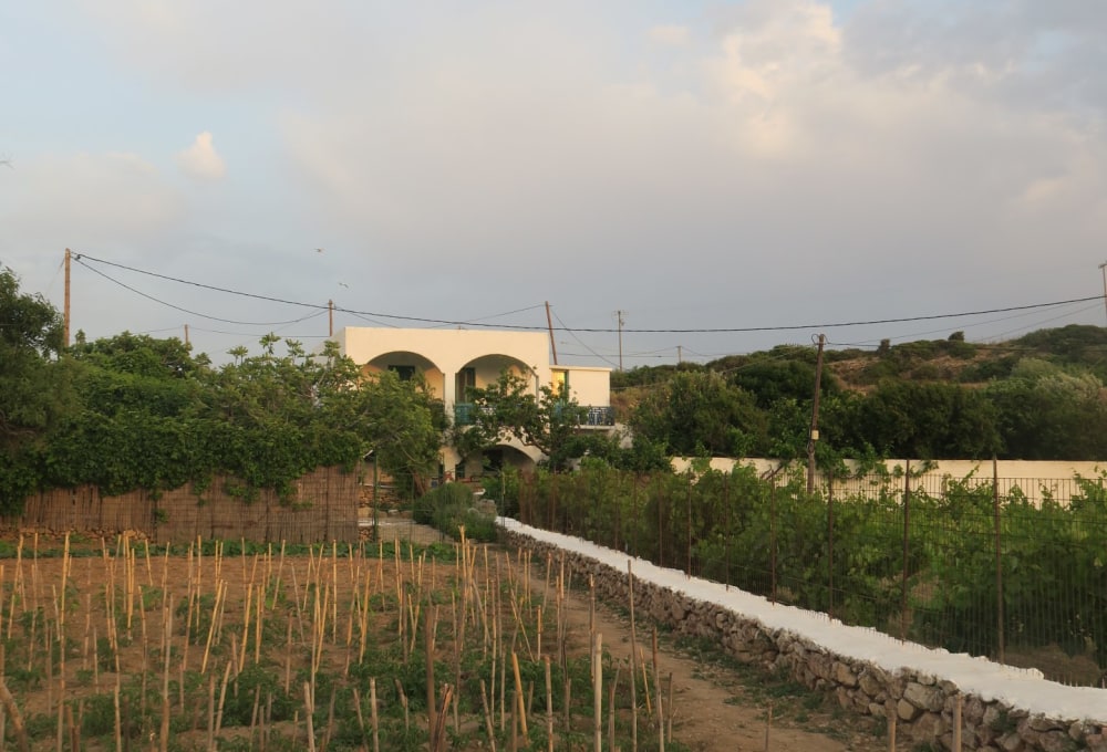 Dein Projekt auf Lipsi Island