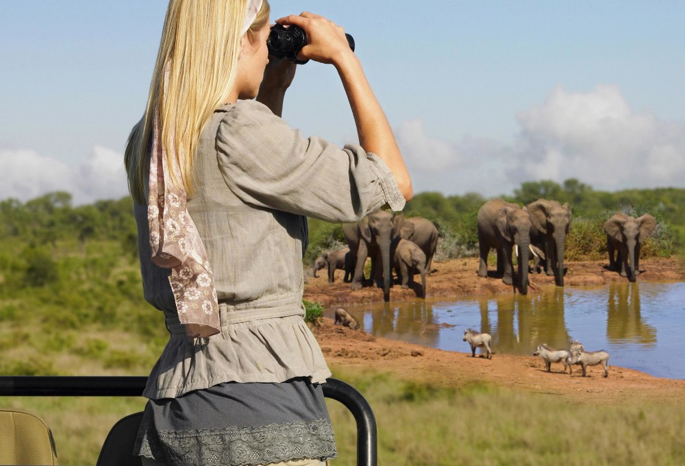 Tag 3: Surf City & Addo Nationalpark