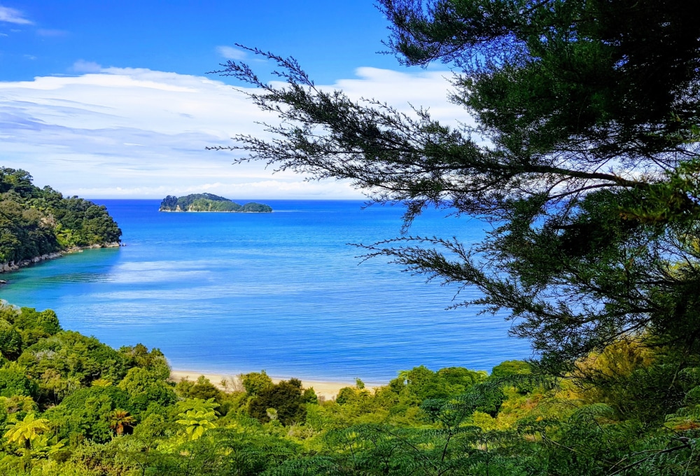 Tag 11: Abel Tasman National Park & Anchorage Bay