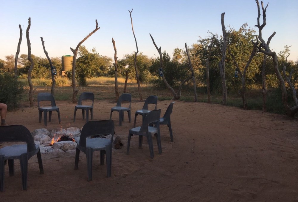 Dein Projekt  im Krüger Nationalpark