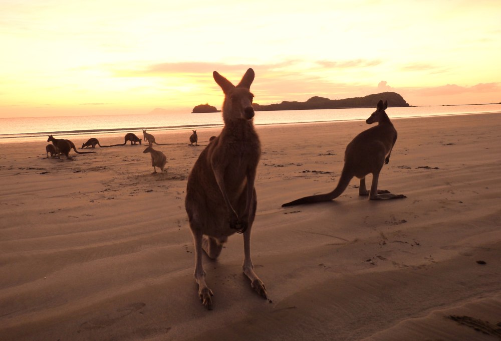 Beispiel für deine erste Woche in Australien
