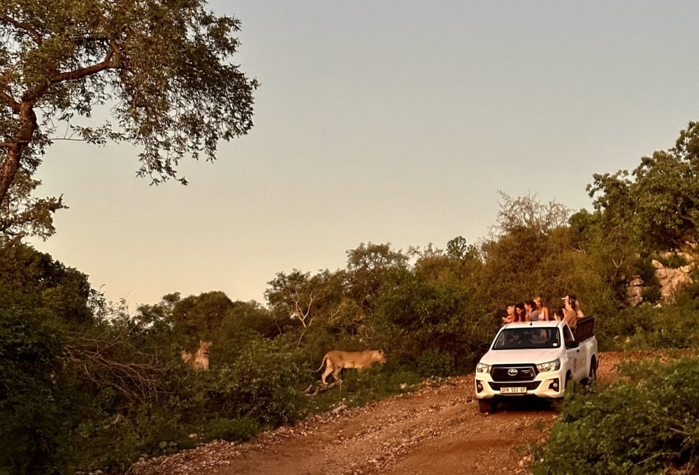 Beispiel für eine typische Woche in deinem Projekt