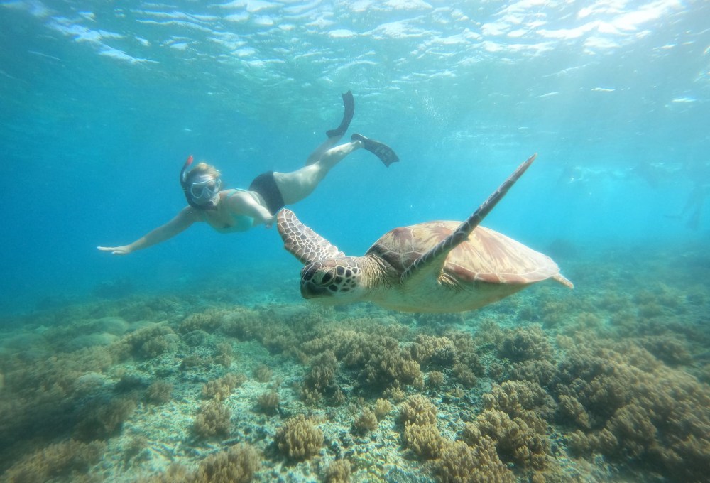 Tag 4: Pemuteran und Menjangan Island